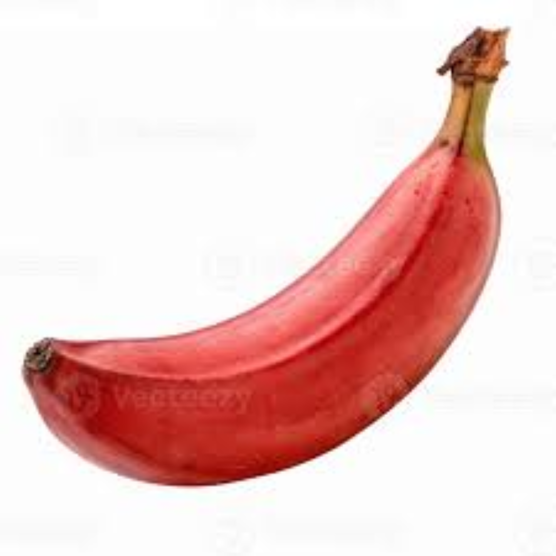 FRESH RED BANANA